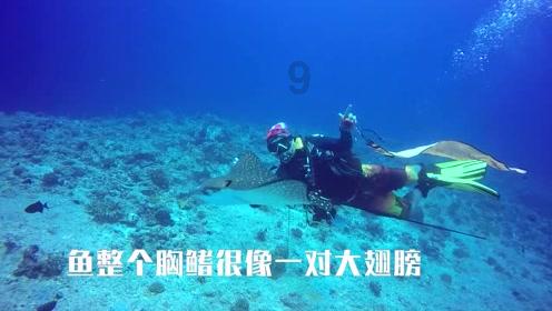 未知的原因